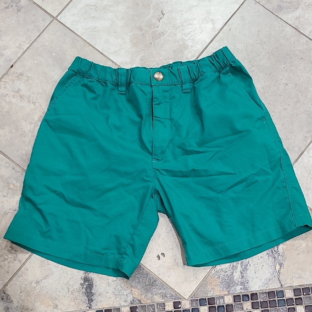 Chubbies Vibrant Green Men's Shorts